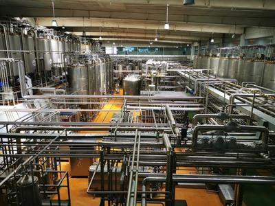 915旅行+ | 青岛市文旅局媒体采风，领略不一样的胶州风光